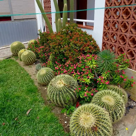 The Blue View Maspalomas Appartement